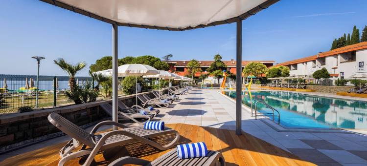 维尔公园酒店(Hotel Vile Park)图片