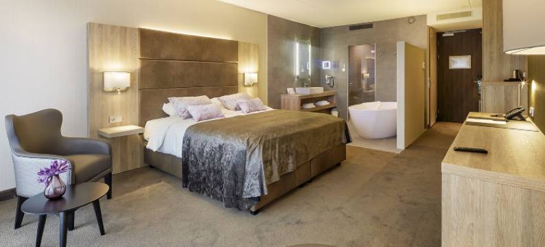 布雷达凡德瓦克酒店(Van der Valk Hotel Breda)图片