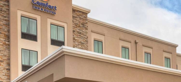 舒适酒店和套房 - 杰克逊维尔橙园靠近海军航空站(Comfort Inn & Suites Jacksonville - Orange Park Near Naval Air Station)图片