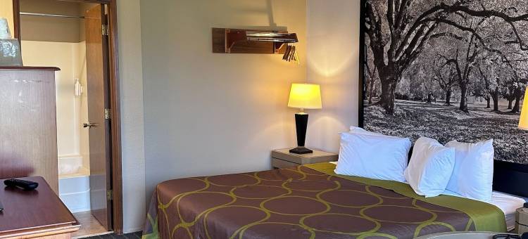 温德姆华东速 8 酒店(Super 8 by Wyndham Vancouver East)图片