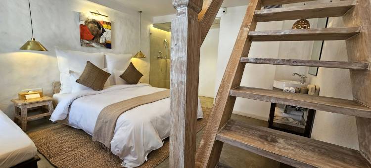 The Nanee(The Nanee)图片