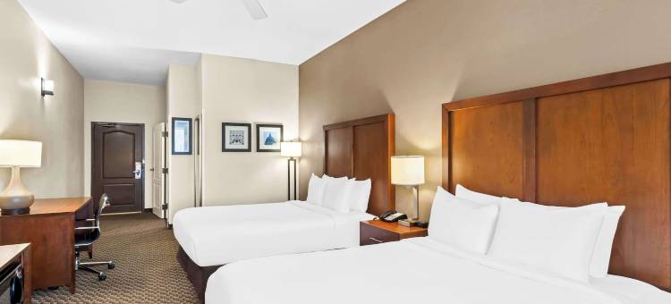 舒适套房酒店(Comfort Inn & Suites)图片