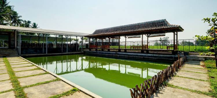 首都O 93238伦巴姆巴隆度假村(Lembah Mbalong Resort Mitra RedDoorz Near Exit Tol Singosari)图片