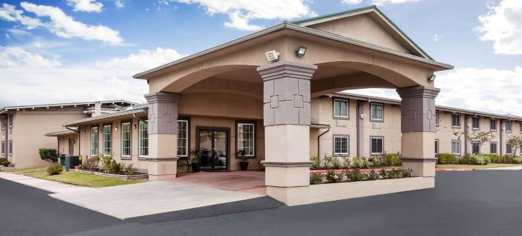 温德姆速8酒店-博蒙特I-10南/学院街(Super 8 by Wyndham Beaumont I-10 South/College St)图片