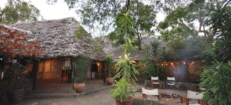 马赛马拉无花果树露营地酒店(Fig Tree Camp - Maasai Mara)图片