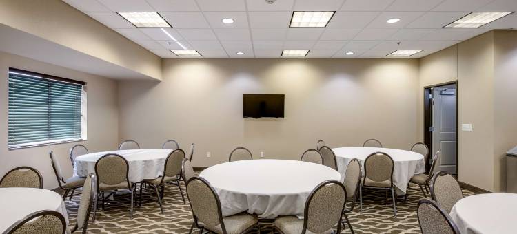 堪萨斯城-邦纳斯普林斯舒适酒店(Comfort Inn Bonner Springs Kansas City)图片