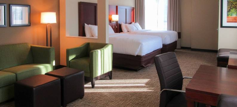 凯艺酒店(Comfort Suites)图片