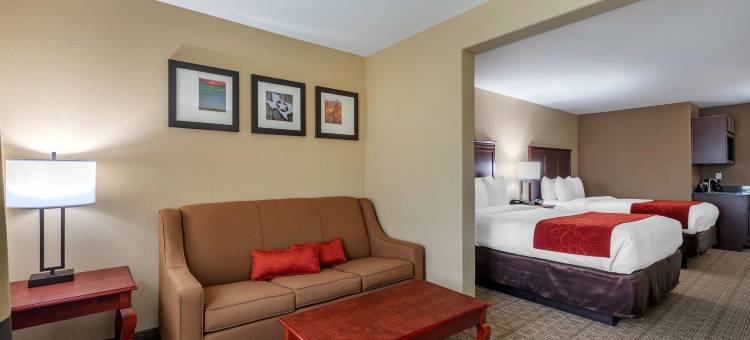 舒适套房酒店(Comfort Suites)图片