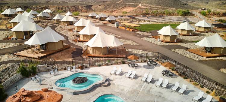 Zion Wildflower, BW Premier Collection图片