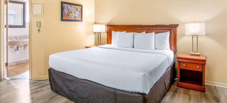 杜兰戈伊克诺套房酒店(Econo Lodge Inn & Suites)图片