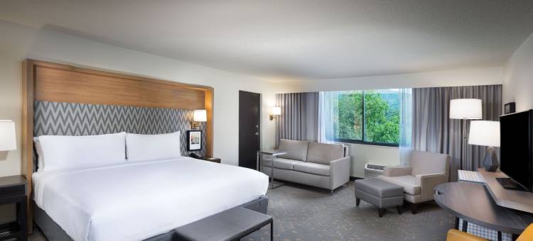 Holiday Inn 阿什维尔，比尔特莫尔东(Holiday Inn Asheville East-Blue Ridge Pkwy)图片