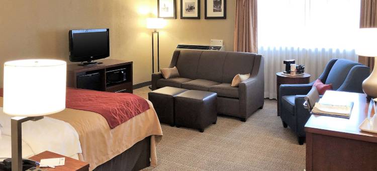 舒适酒店(Comfort Inn)图片