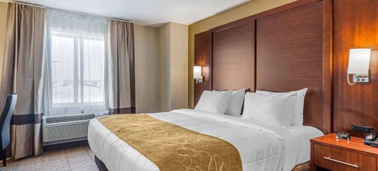 舒适套房酒店(Comfort Inn & Suites)图片