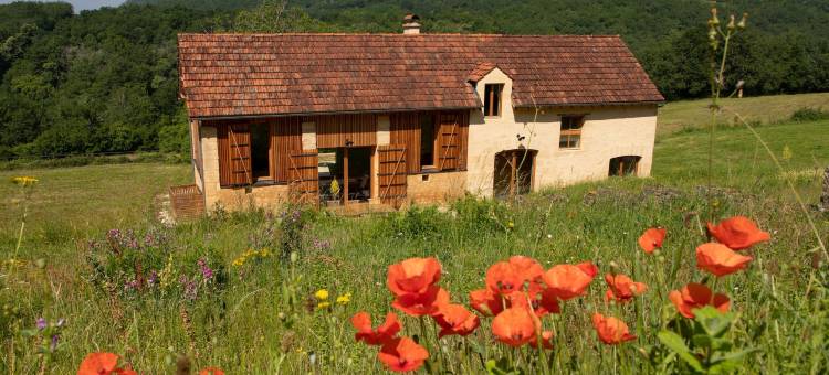 拉格朗日米洛(La Grange Milou)图片