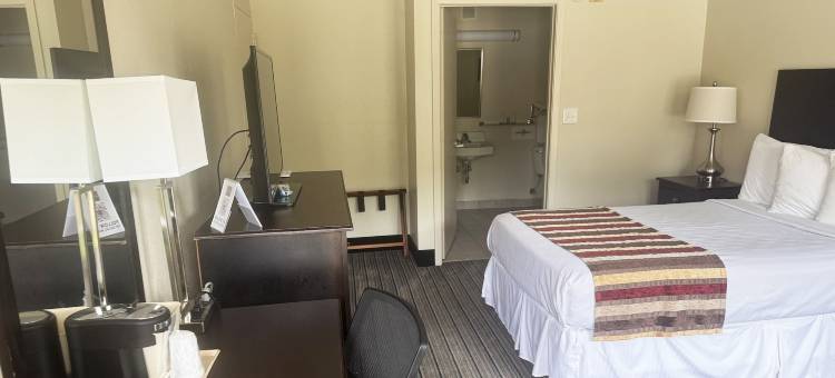 弗朗西斯酒店(Hotel Francis)图片