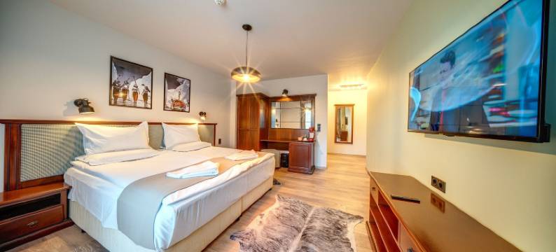 山中湖酒店(Mountain Lake Hotel)图片