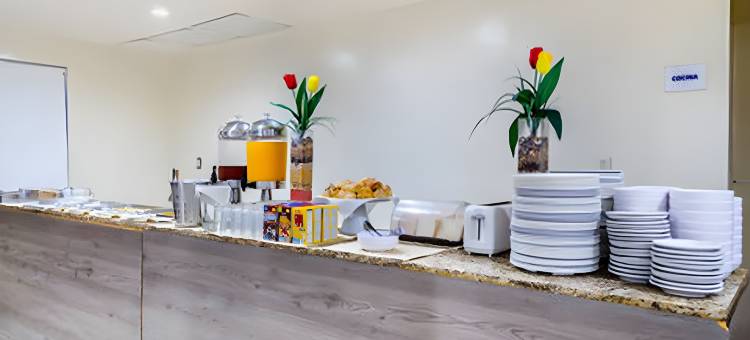 格林伍德托雷翁酒店(Greenwood Hotel Torreón)图片