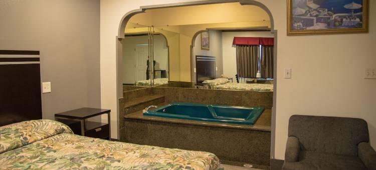 拉布雷亚星光旅馆酒店(Starlight Inn la Brea)图片
