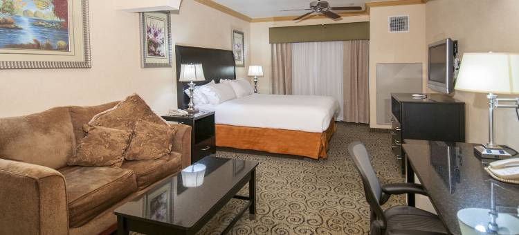 智选假日套房酒店贝克斯菲尔德中央(Holiday Inn Express & Suites Bakersfield Central)图片