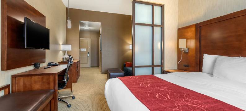 洛杉矶工业城附近舒适套房酒店(Comfort Suites Near City of Industry - Los Angeles)图片