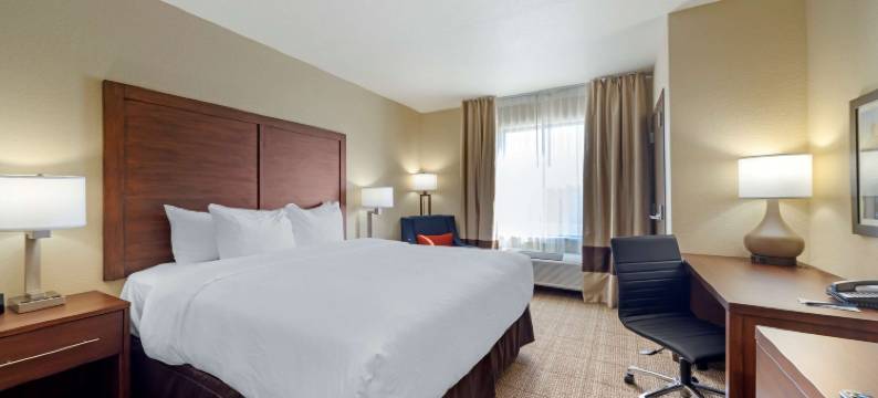 哈拉舒适套房酒店(Comfort Inn & Suites Harrah)图片