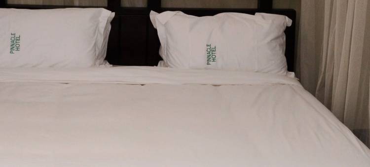 尖峰酒店(Pinnacle Hotel Mbarara)图片