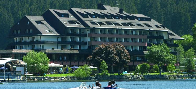 蒂蒂湖酒店(Maritim TitiseeHotel Titisee-Neustadt)图片