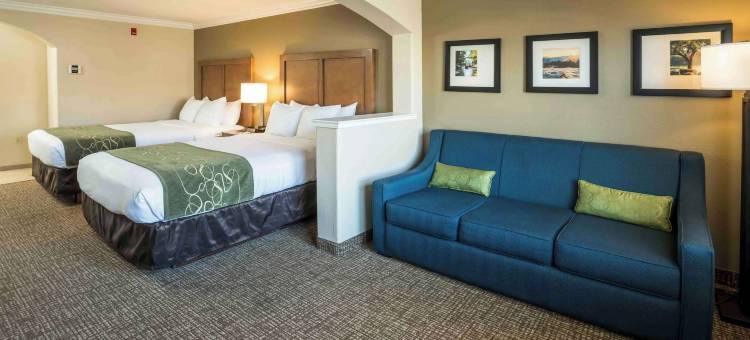弗雷斯诺河滨公园舒适套房酒店(Comfort Suites Fresno River Park)图片