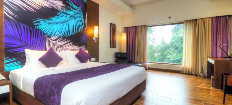 紫色棕榈水疗度假村(Purple Palms Resort & Spa)图片