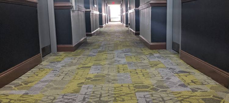 格林斯伯勒机场克拉丽奥波茵特酒店(Clarion Pointe Greensboro Airport)图片