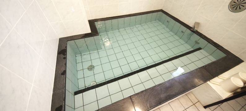 于尔班广岛酒店(Urbain Hiroshima Executive)图片