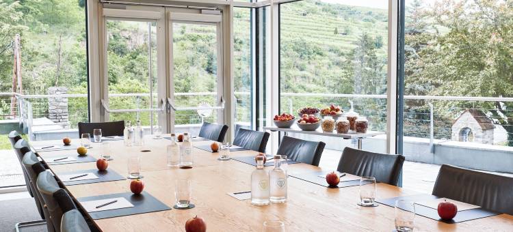 克雷姆斯水疗中心施柏阁酒店(Steigenberger Hotel and Spa, Krems)图片