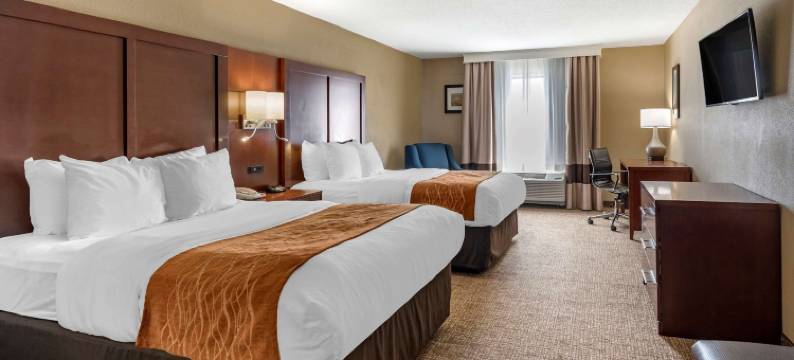 舒适套房酒店(Comfort Inn & Suites)图片