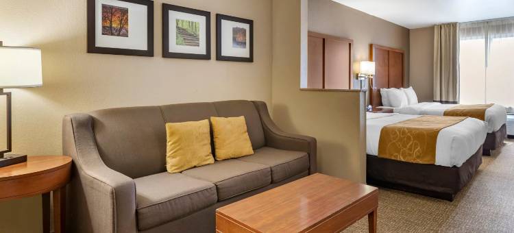 科拉尔维尔I-80舒适套房酒店(Comfort Suites Coralville I-80)图片