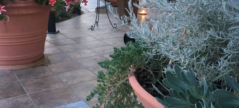 贝斯特韦斯特皇家酒店(Best Western Hotel Imperiale)图片