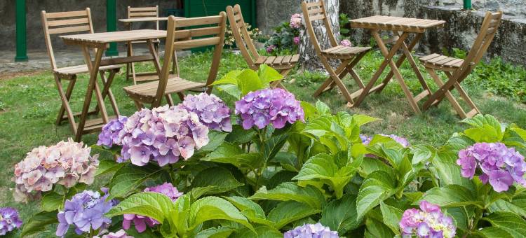 卡塔尔姆布拉民宿(B&B Ca' d'Ambra)图片