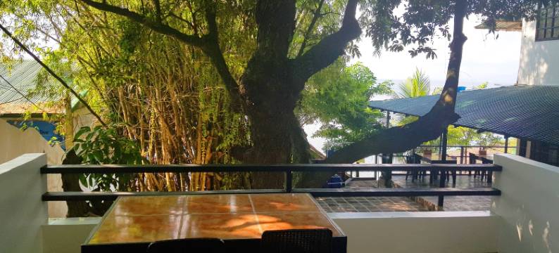 蓝带潜水度假酒店(Blue Ribbon Dive Resort)图片
