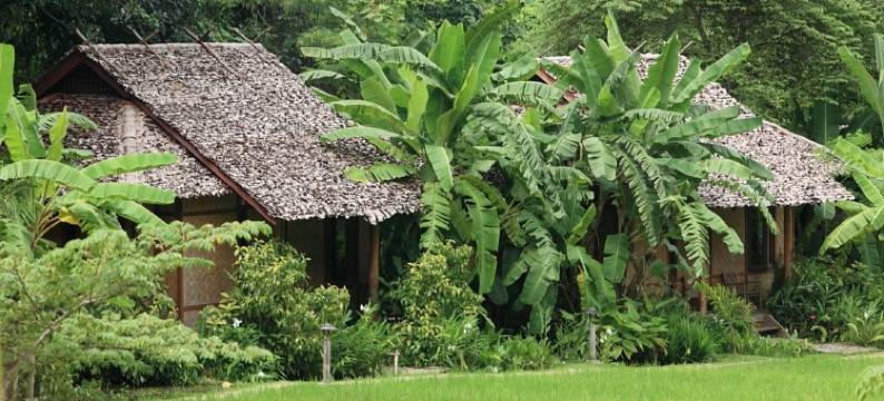 费恩度假村(Fern Resort Mae Hong Son)图片
