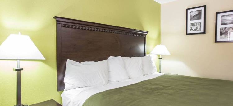 比尔特莫尔伊康旅馆(Econo Lodge Biltmore)图片