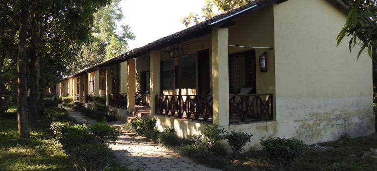 莱诺巴尔迪亚旅馆(Rhino Lodge Bardia Pvt Ltd)图片