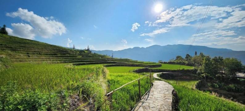 沙坝Botanic酒店(Botanic Sapa Hotel)图片