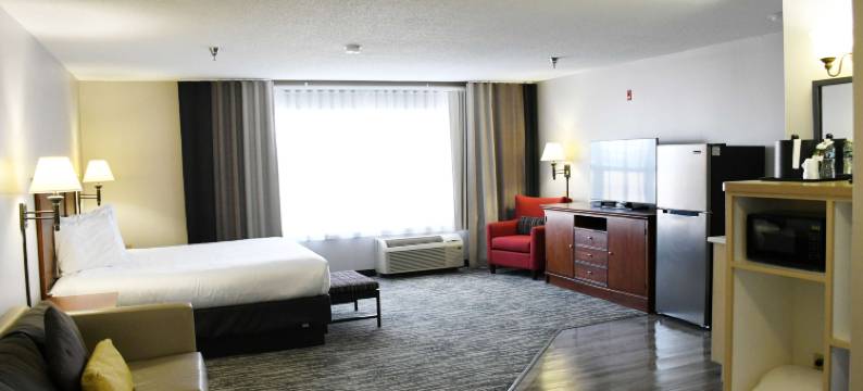 爱荷华州道奇堡贝斯特韦斯特和谐酒店(Best Western Harmony Inn Fort Dodge Iowa)图片