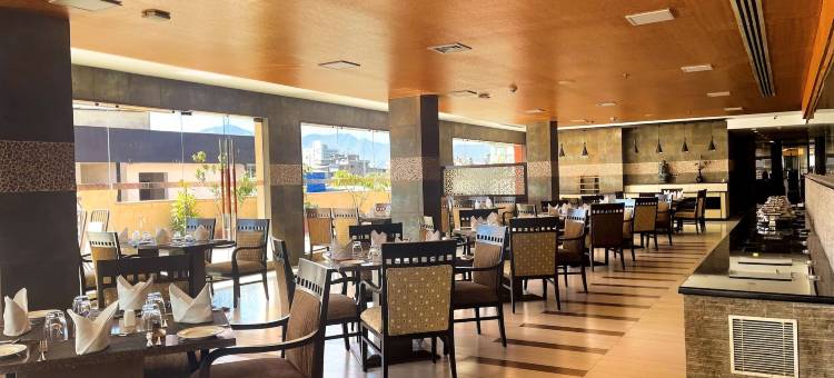 加德满都丽筠酒店(Radisson Hotel Kathmandu)图片