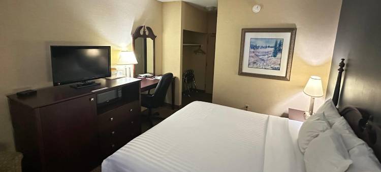 城市中心伊康旅馆(Econo Lodge City Centre)图片