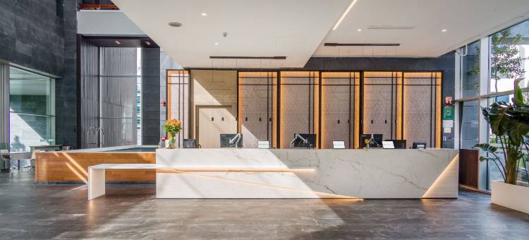 马德里中庭伊鲁宁酒店(Hotel Ilunion Atrium)图片