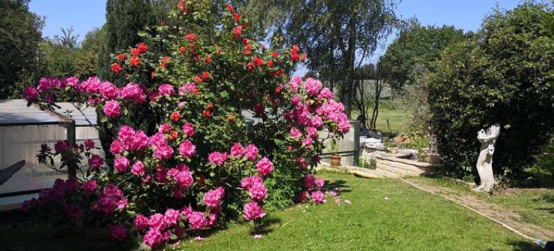 弗勒里花园酒店(Au Jardin Fleuri)图片