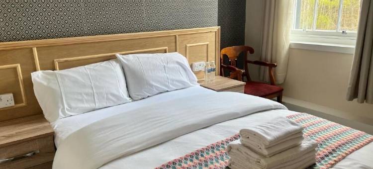 厄尔大卫酒店(Earl David Hotel)图片