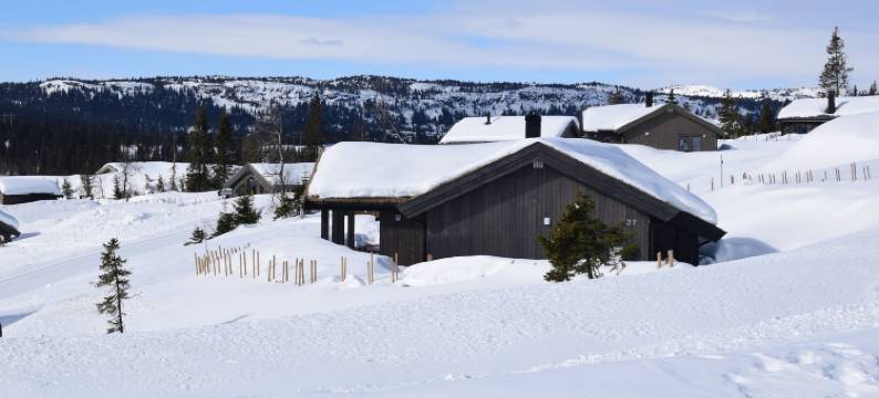 斯凯坎彭预订(Skeikampen Booking)图片