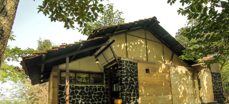 斯普里马蒂丛林度假村(Spree Maati Jungle Resort)图片