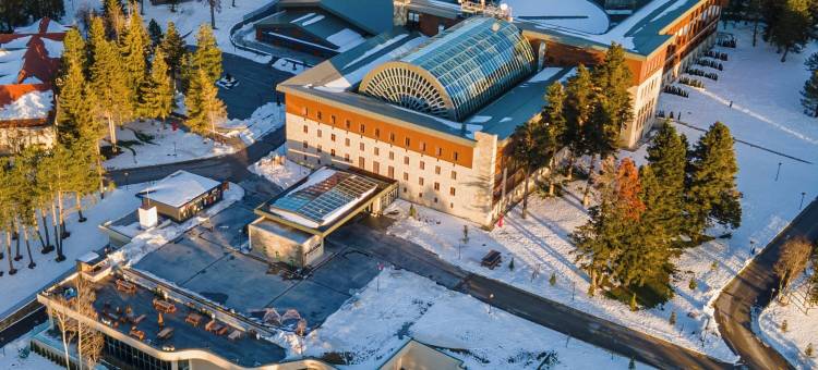 布尔萨乌鲁达瑞士酒店(Swissotel Uludag Bursa)图片